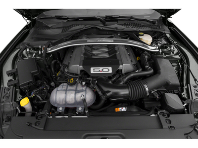 2015 Ford Mustang GT 50 Years Limited Edition