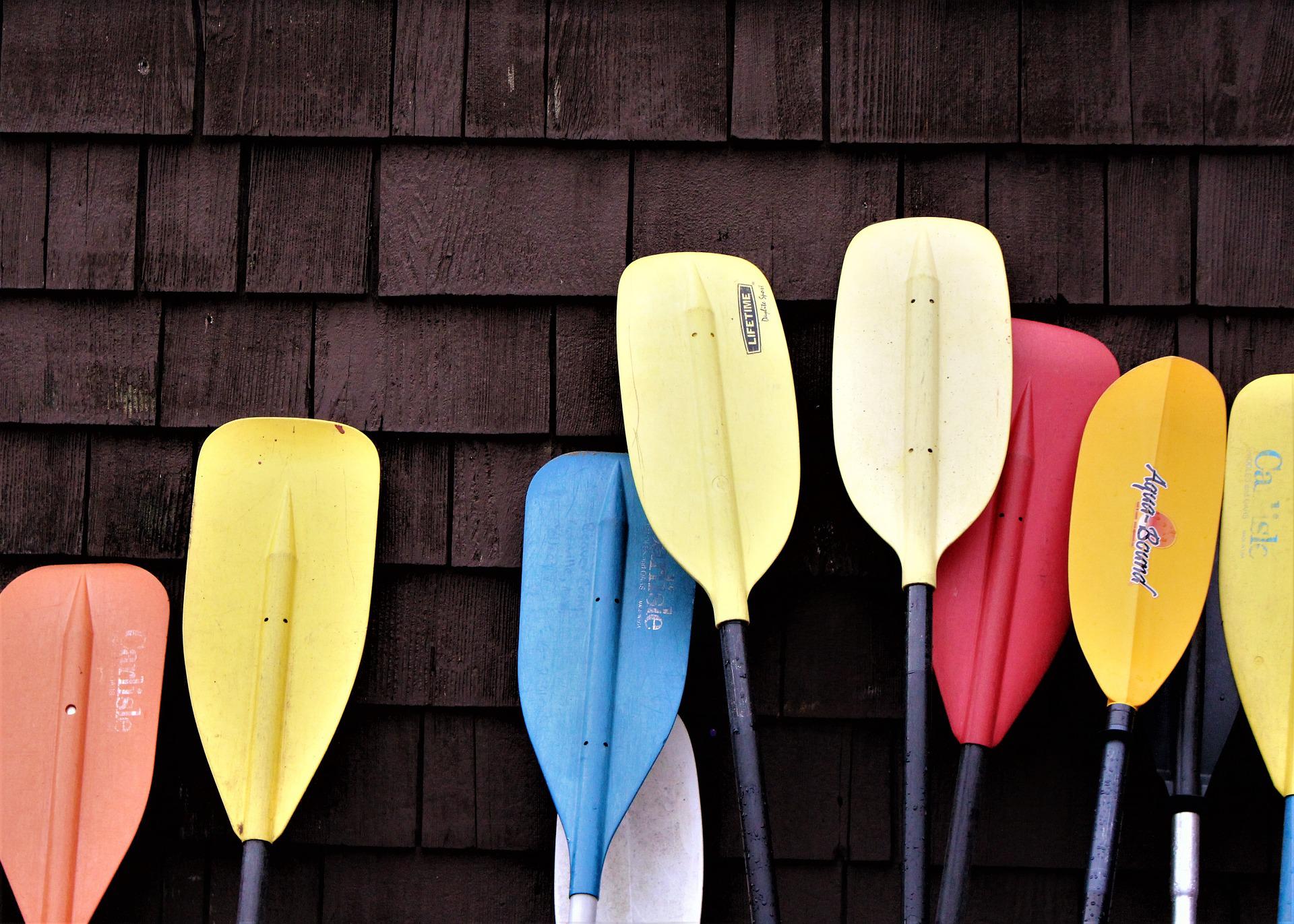 Boat Paddles in different colors set against a wooden wall .