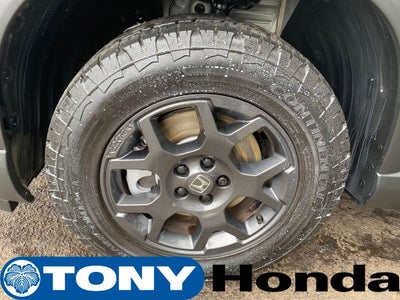 2025 Honda Pilot TrailSport