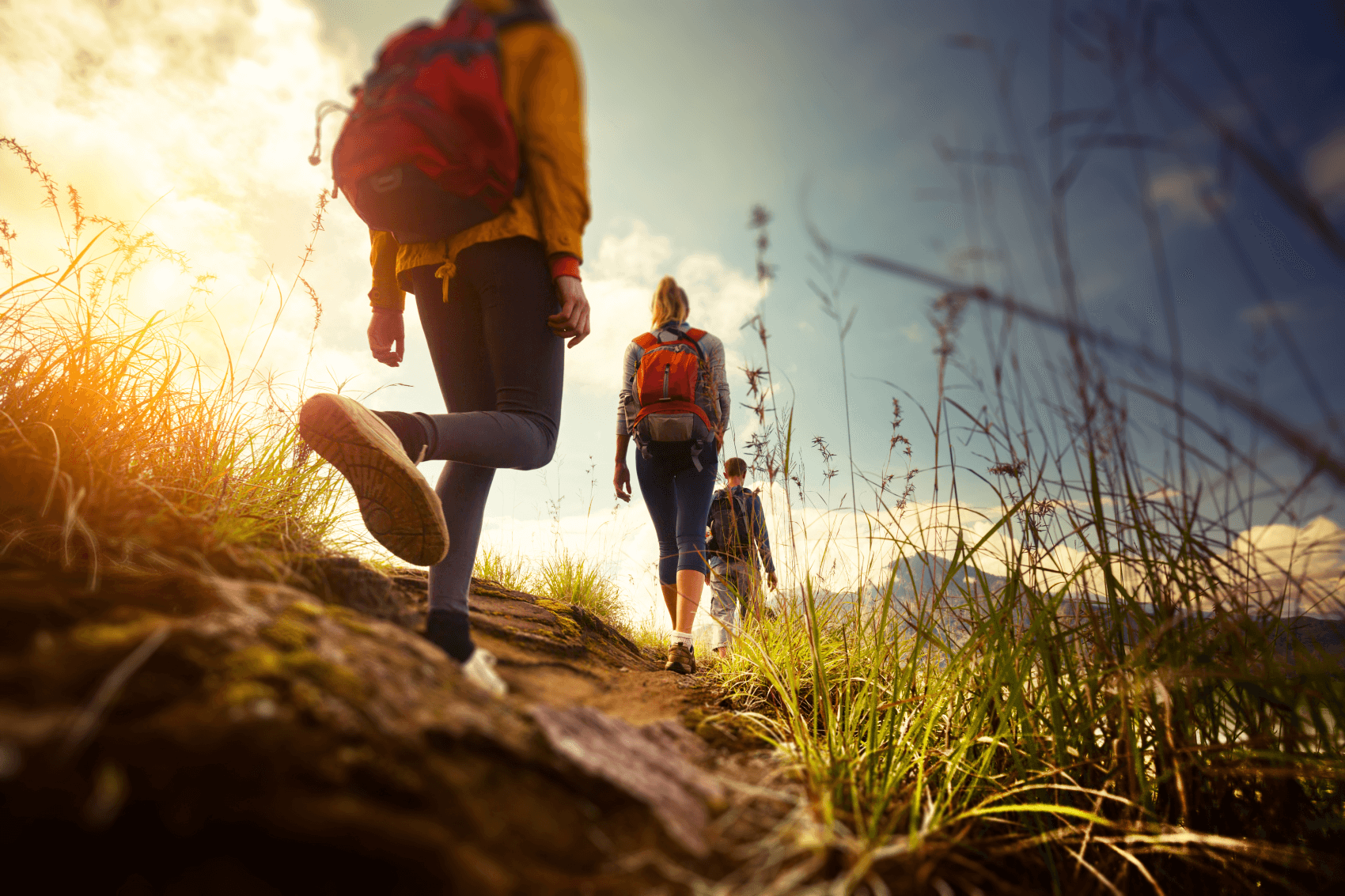 Hikers walking a mountain trail