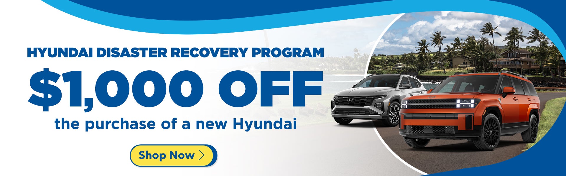 Hyundai Disaster Relief Program